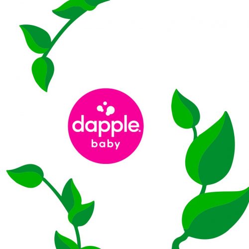 Dapple Baby logo surrounded by three green leaf branches